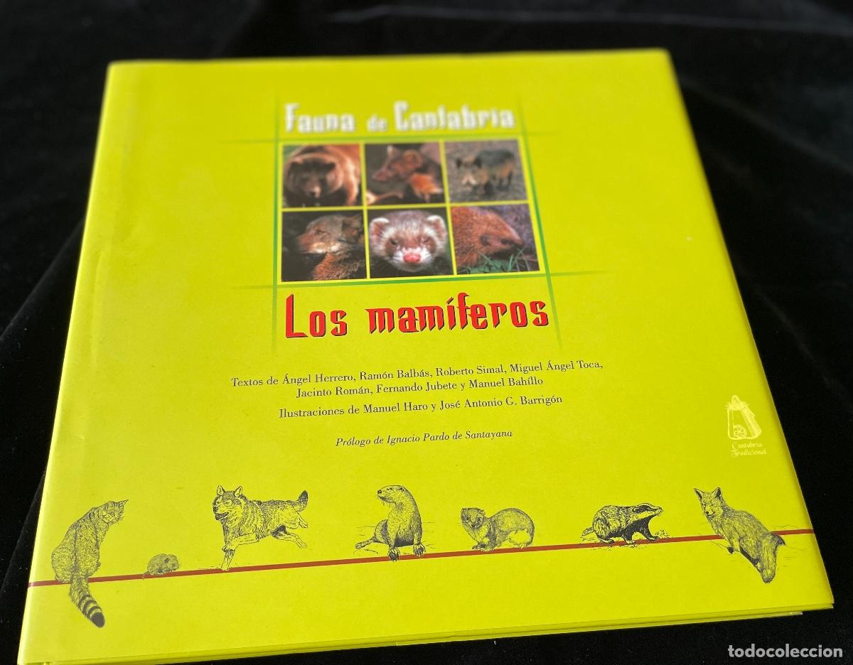 Libri di seconda mano: LIBRO FAUNA DE CANTABRIA. LOS MAM&Iacute;FEROS. ED. CANTABRIA TRADICIONAL.