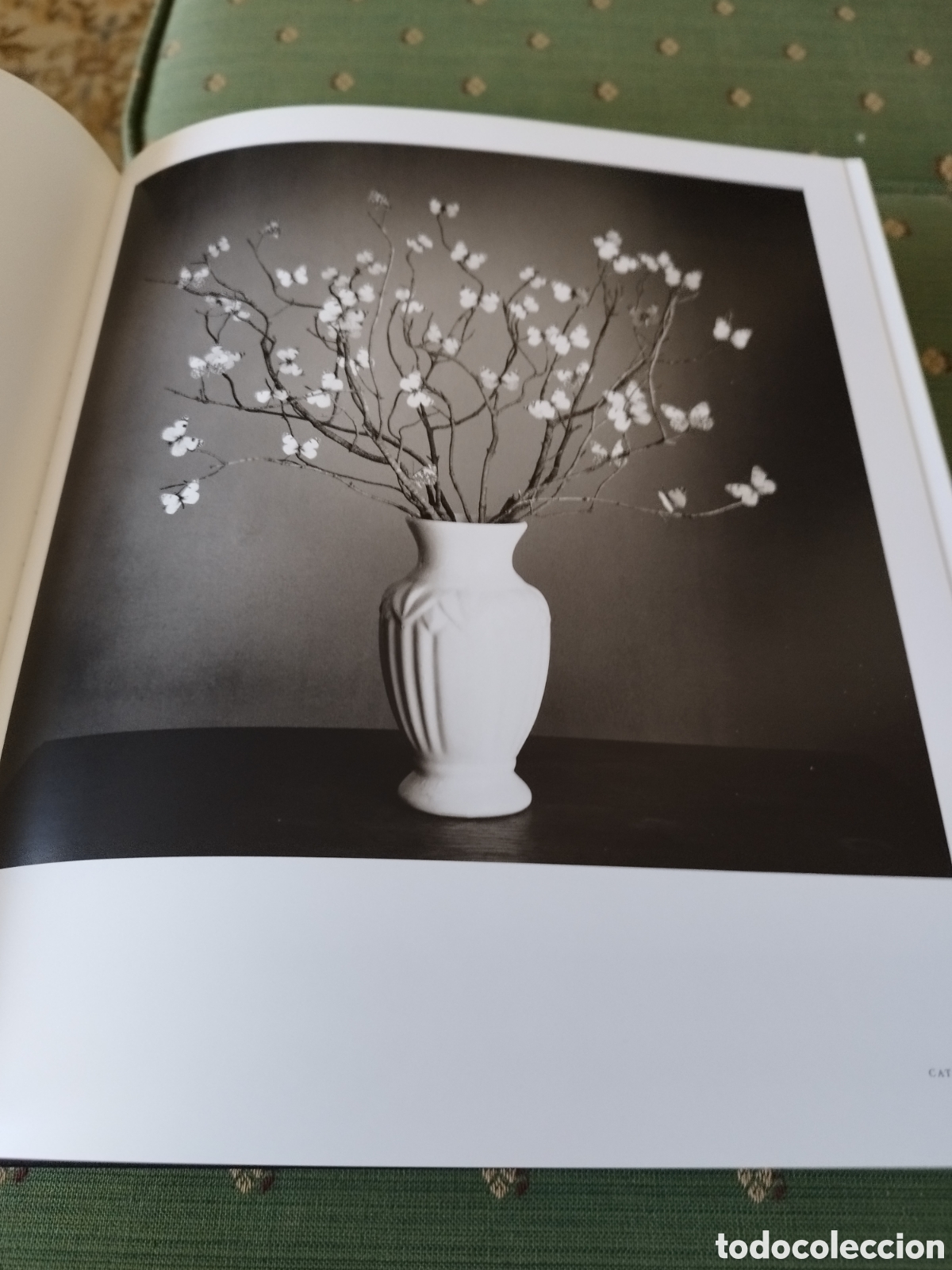 Libros de segunda mano: Libro-Cat&aacute;logo de CHEMA MADOZ - Foto 2