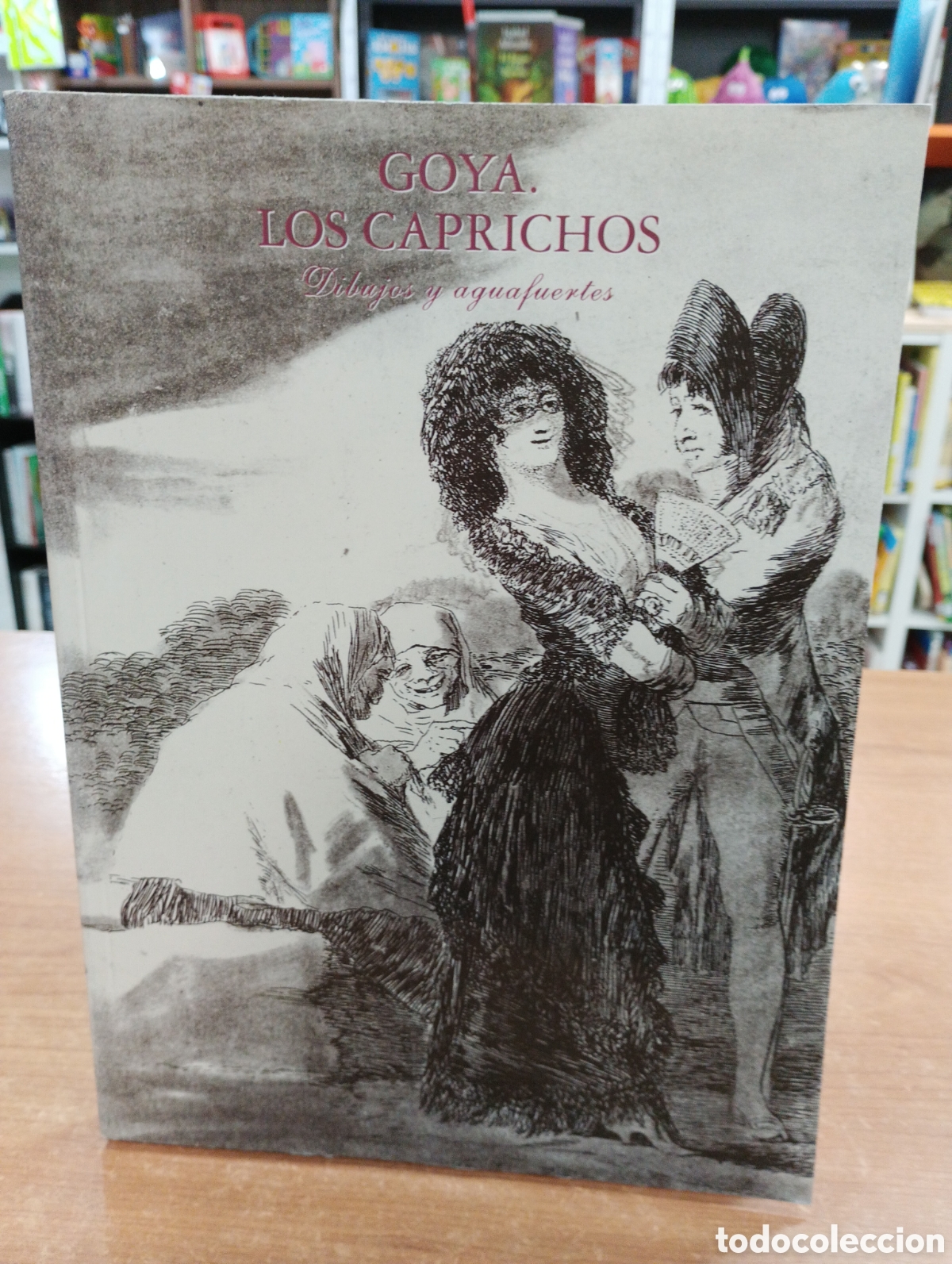 Gebrauchte B&uuml;cher: Goya. los Caprichos - Varios Autores - Taller de Editores S.a - 1994