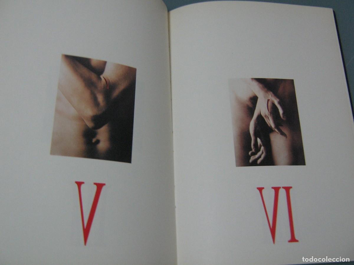 Libros de segunda mano: STIGMATA - David Scheinmann - Foto 4