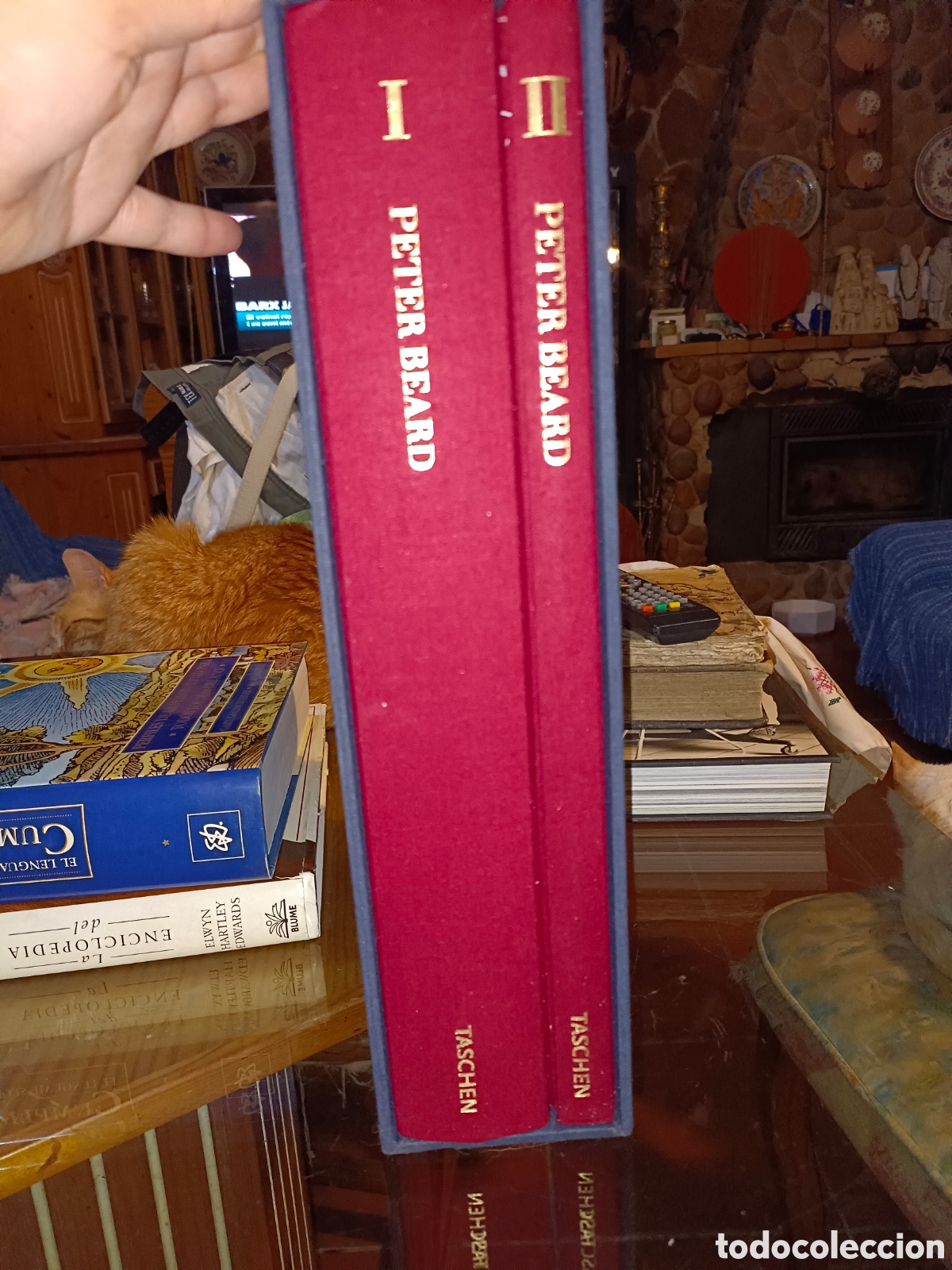 Libros de segunda mano: Dos Tomos Peter Beard - Foto 2