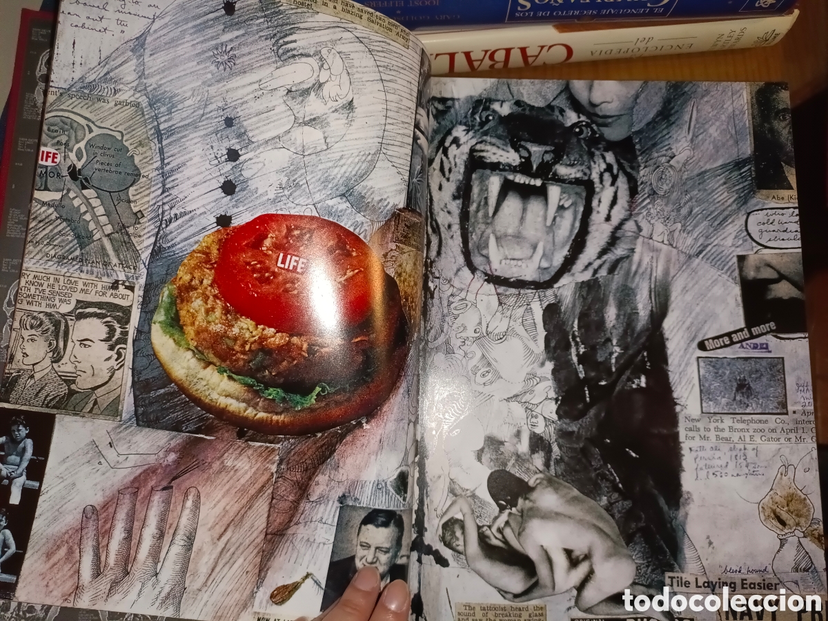 Libros de segunda mano: Dos Tomos Peter Beard - Foto 12