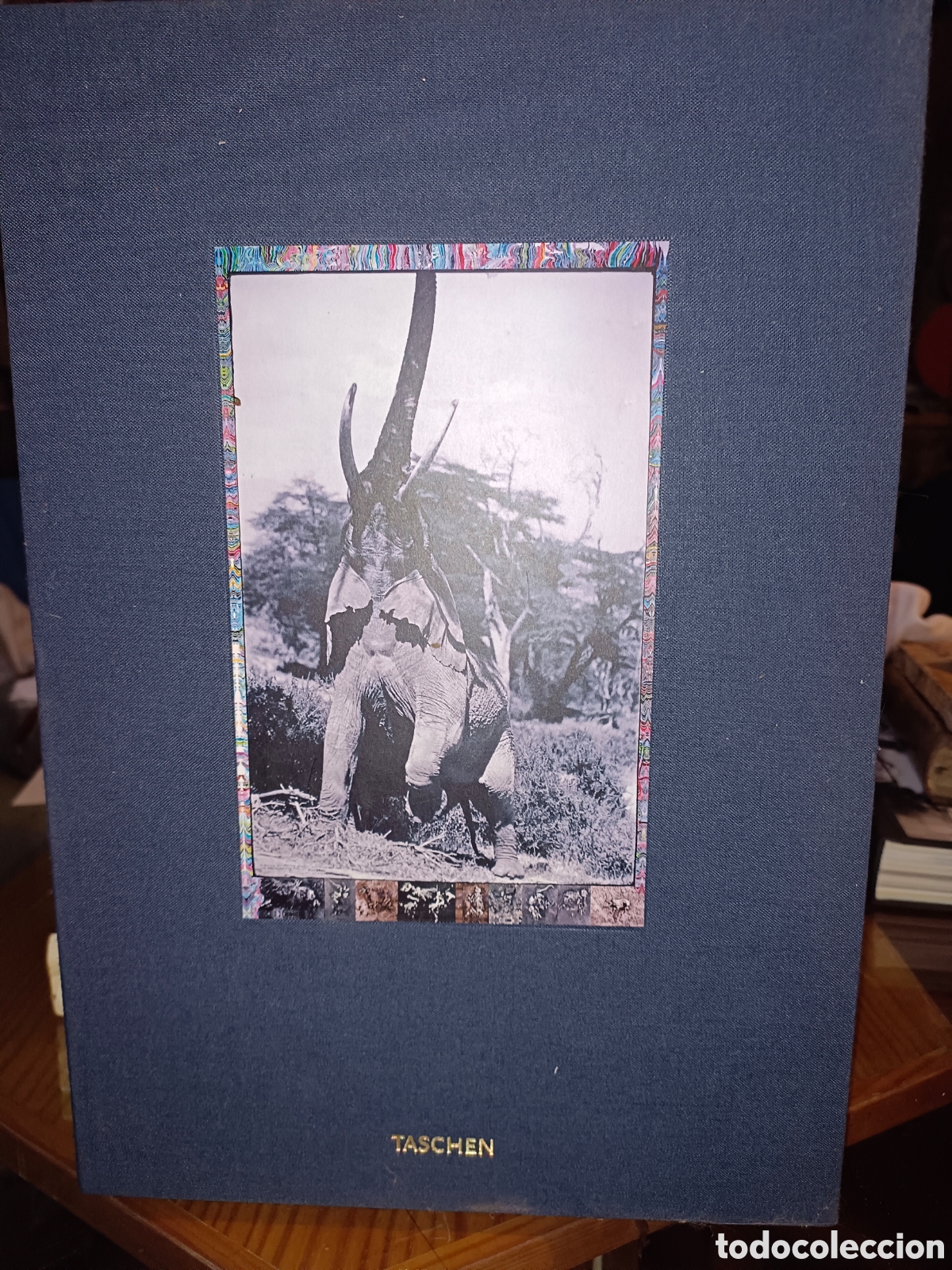 Libros de segunda mano: Dos Tomos Peter Beard - Foto 1