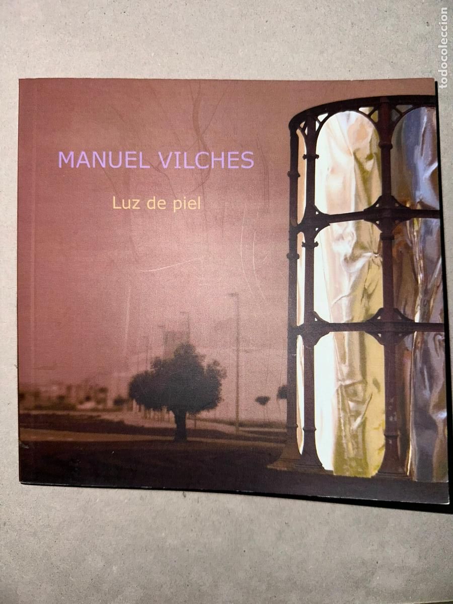 Libri di seconda mano: Manuel Vilches - Luz de piel