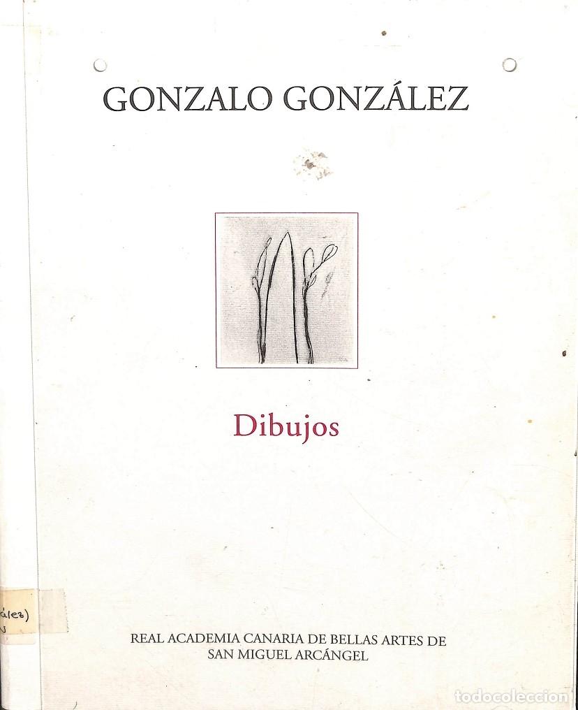 Gebrauchte B&uuml;cher: GONZALO GONZ&Aacute;LEZ - DIBUJOS 1993-1996 - PEDRO G. GONZ&Aacute;LEZ, EMILIA MARTIN FIERRO - R. ACADEMIA CANARIA