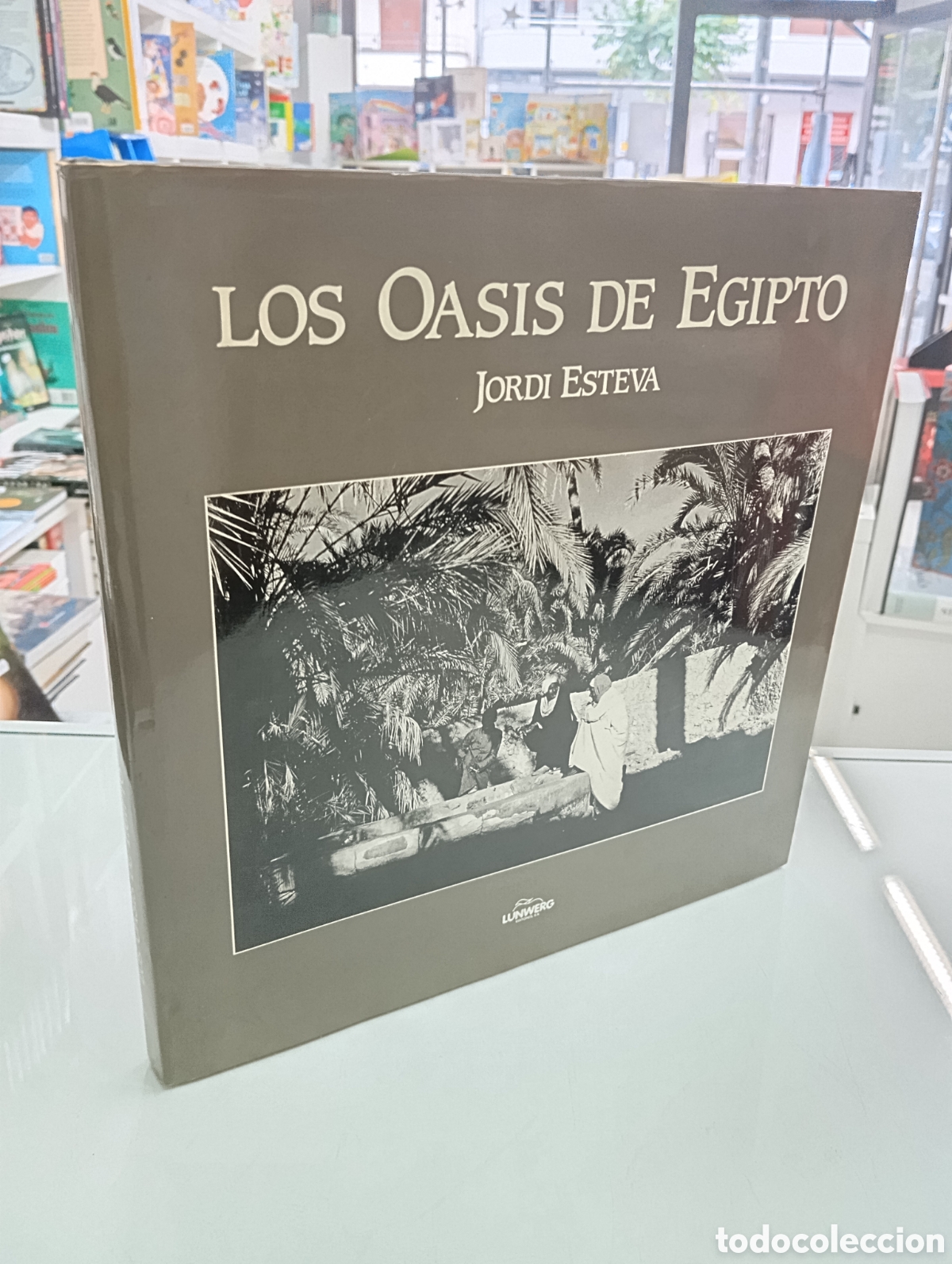 Libros de segunda mano: LOS OASIS DE EGIPTO TEXTO Y FOTOGRAF&Iacute;AS JORDI ESTEVA LUNWERG 1995 SIWA FARAFRA DAKHLA