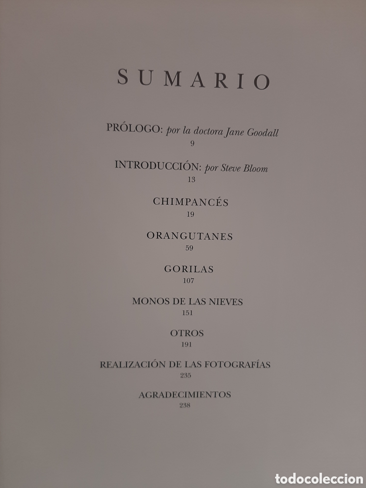 Libros de segunda mano: Dedicado a los primates - Steve Bloom - Foto 1