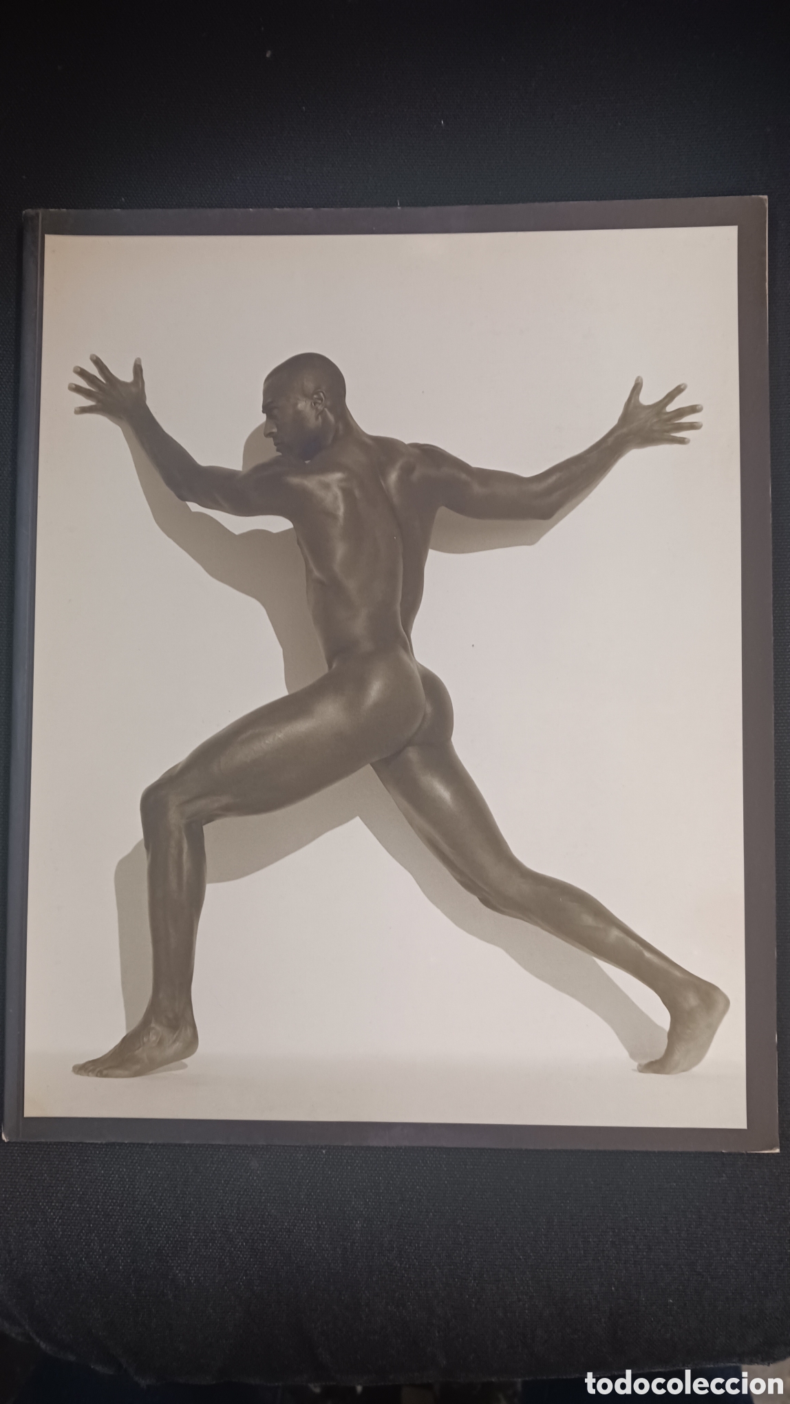 Libros de segunda mano: Herb Ritts FORM 1996 - Foto 1