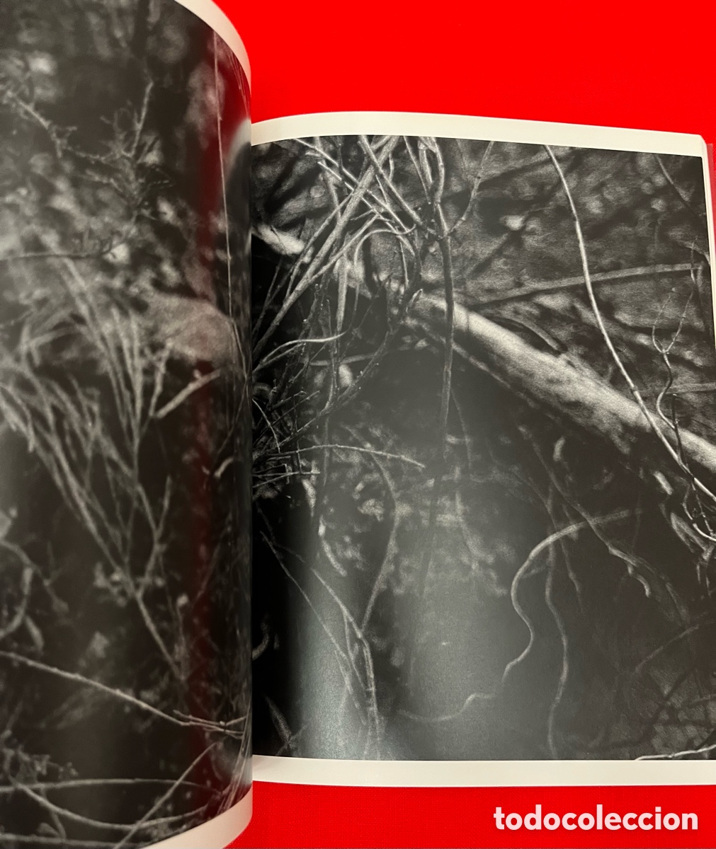 Libros de segunda mano: Libro de fotograf&iacute;a - Espacio Interior - Foto 6
