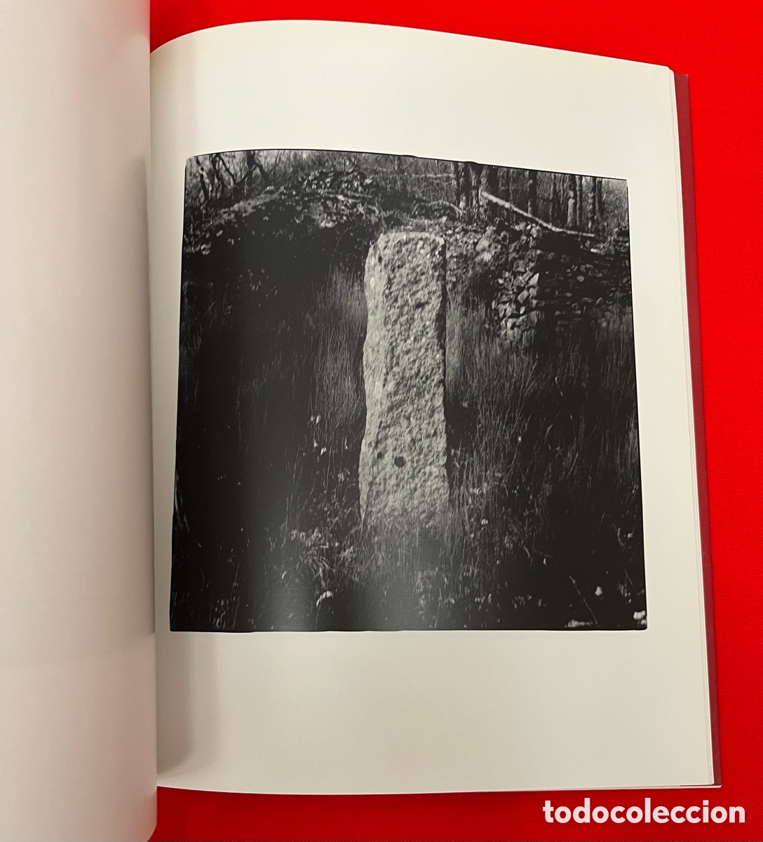 Libros de segunda mano: Libro de fotograf&iacute;a - Espacio Interior - Foto 7