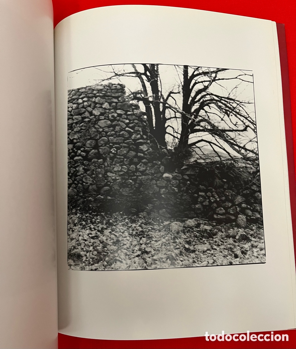 Libros de segunda mano: Libro de fotograf&iacute;a - Espacio Interior - Foto 8