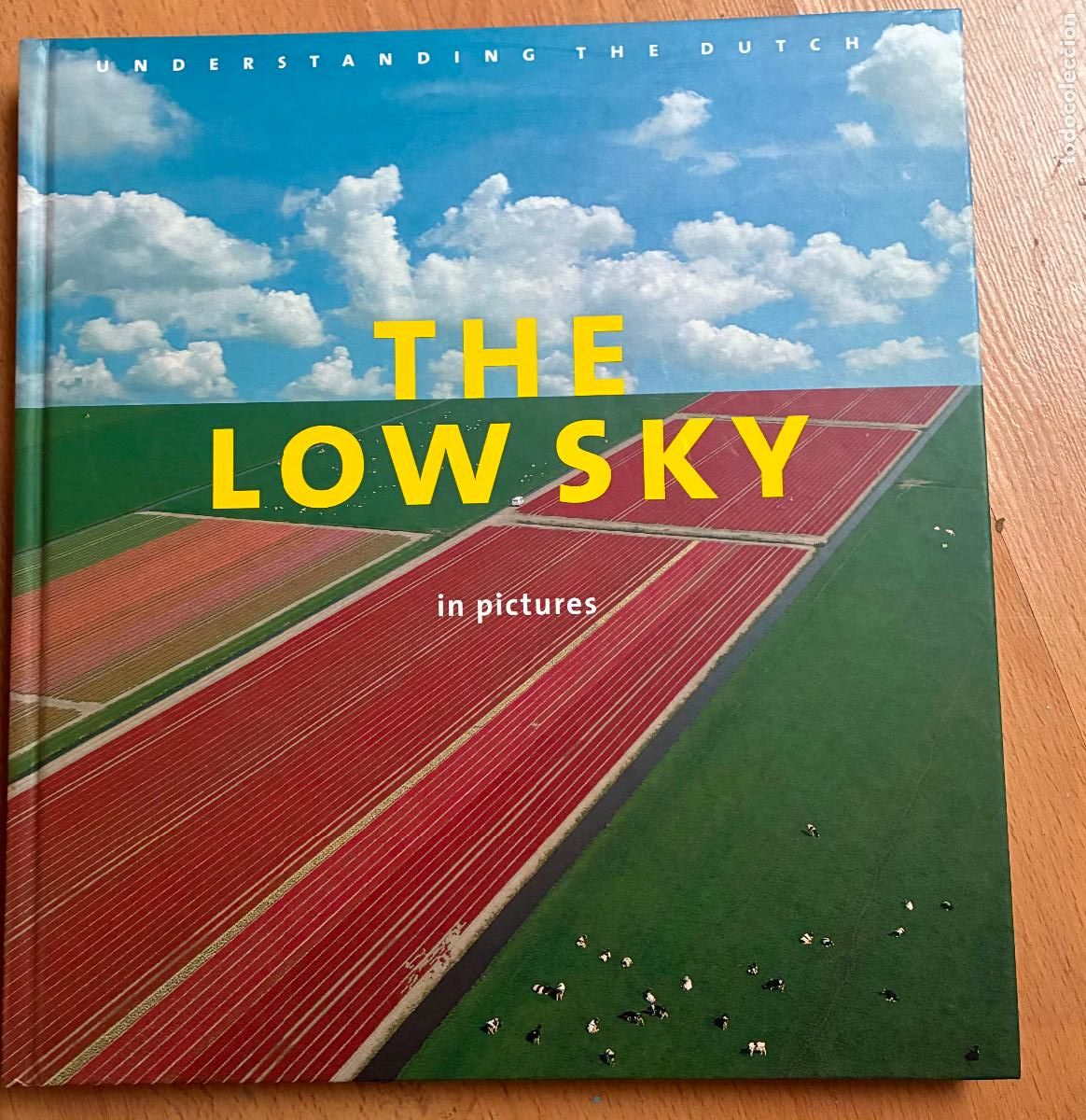 Gebrauchte B&uuml;cher: THE LOW SKY, IN PICTURES