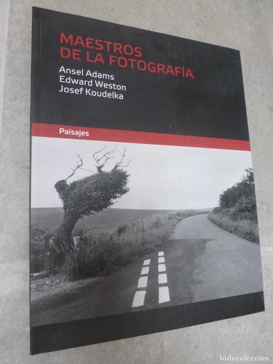 Libri di seconda mano: MAESTROS DE LA FOTOGRAF&Iacute;A. PAISAJES. DIARIO P&Uacute;BLICO