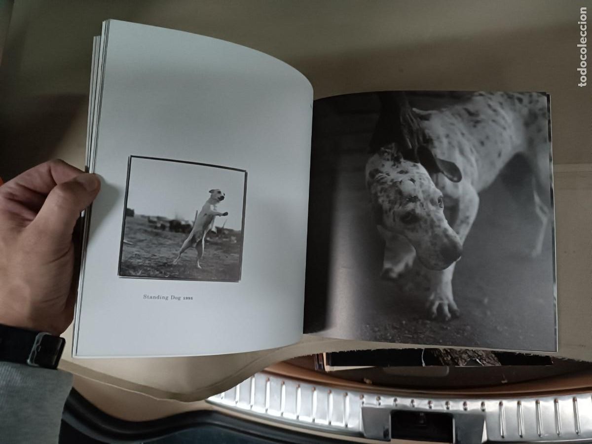 Libros de segunda mano: Bones - Keith Carter - Foto 5