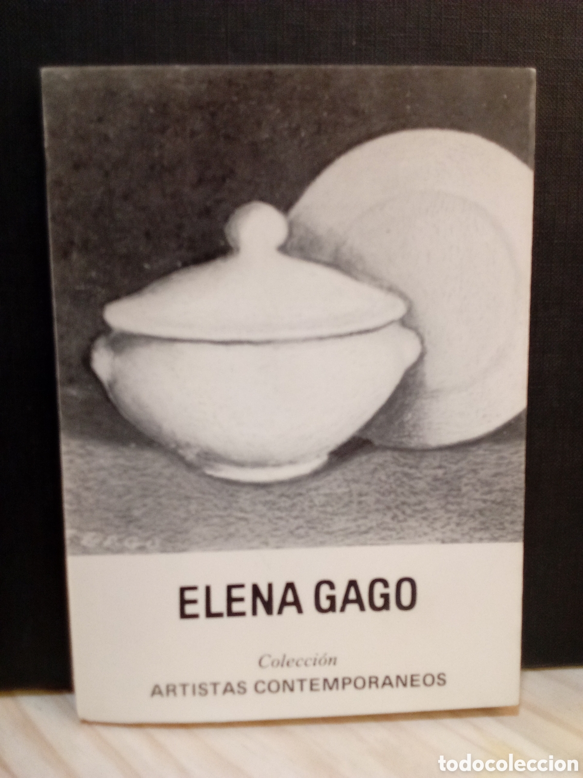Libros de segunda mano: Elena Gago. Colecci&oacute;n Artistas Contemporaneos