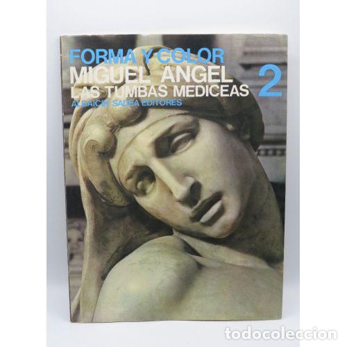 Libros de segunda mano: Forma y Color. Miguel &Aacute;ngel. Las Tumbas Mediceas - Albaic&iacute;n Sadea Editores