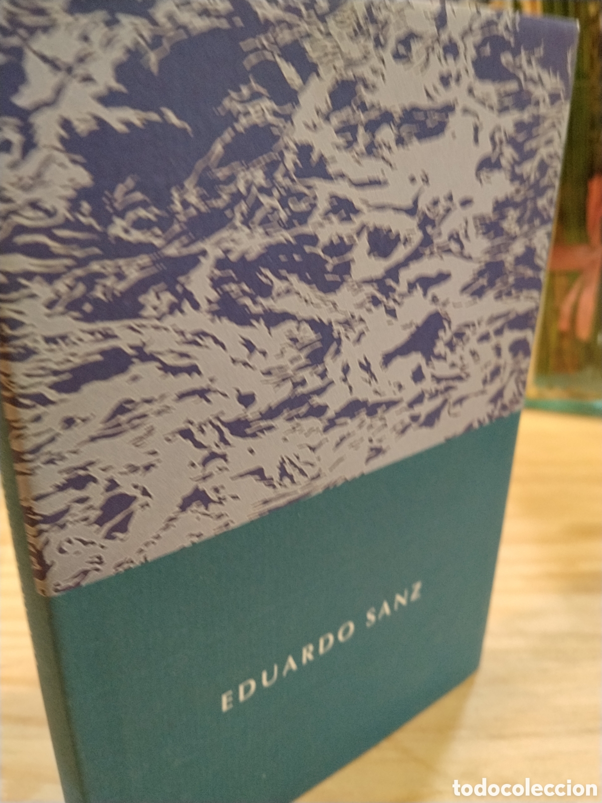 Libros de segunda mano: Eduardo Sanz. Palacio embarcadero. Santander