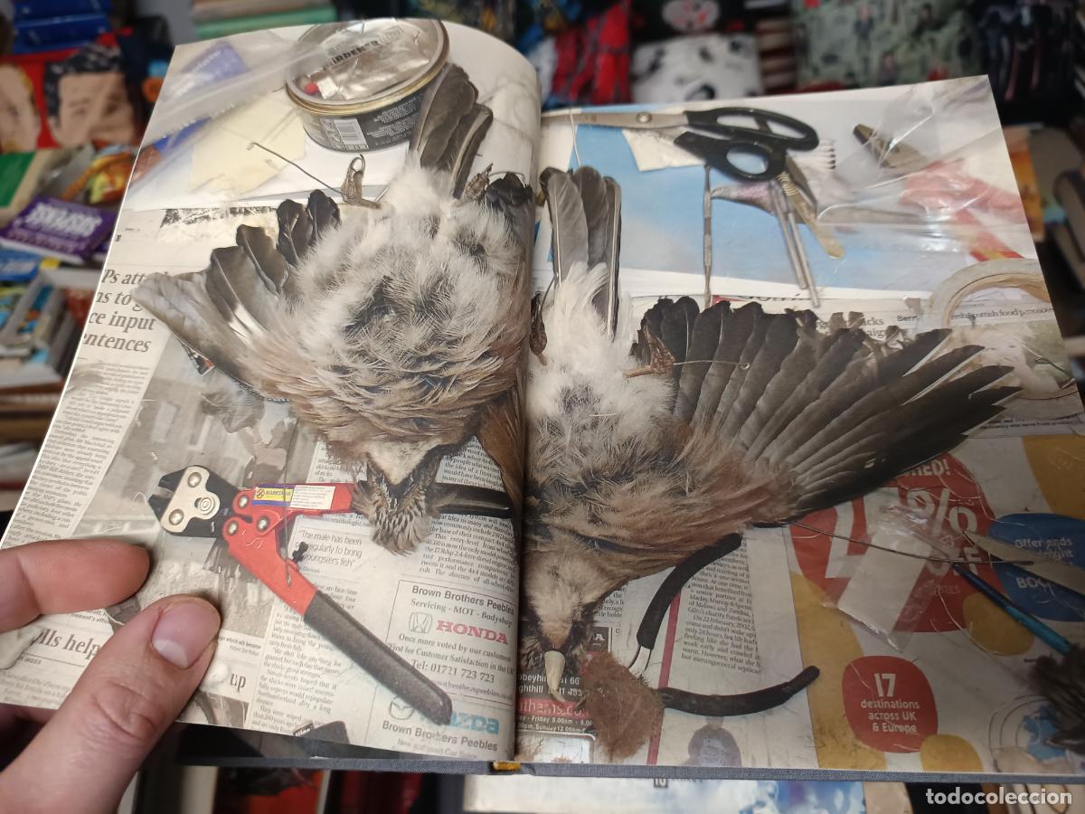 Libros de segunda mano: PSYCHOPOMPS . FOTOGRAF&Iacute;AS DE POLLY MORGAN . HAUNCH OF VENISON . 2003 . TAXIDERMIA