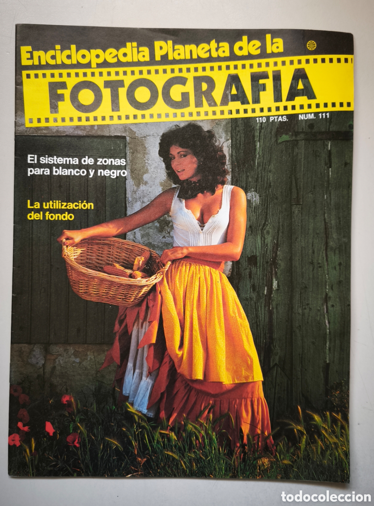 Libros de segunda mano: Lote 9 revistas Enciclopedia planeta de la fotografia