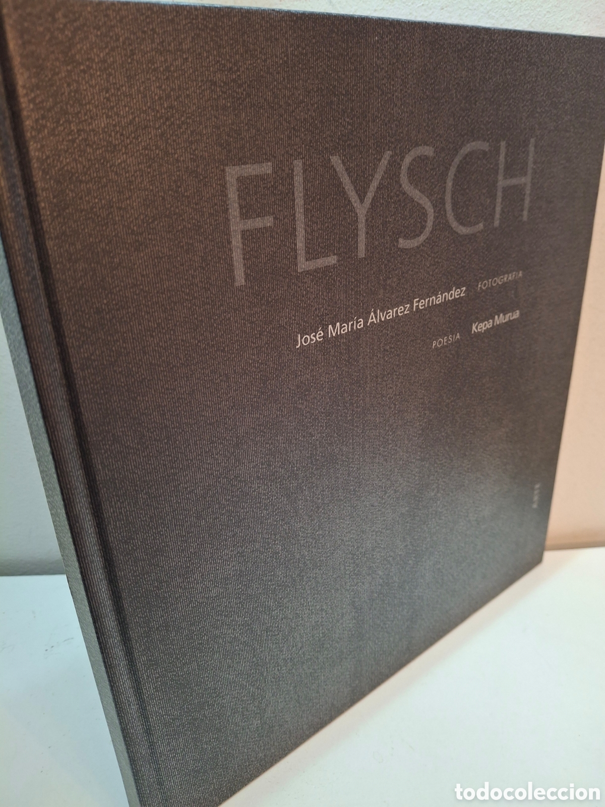 Libros de segunda mano: FLYSCH, JOSE MARIA ALVAREZ FERNANDEZ-KEPA MURUA, BASSARAI ARTE EDICIONES, 2006