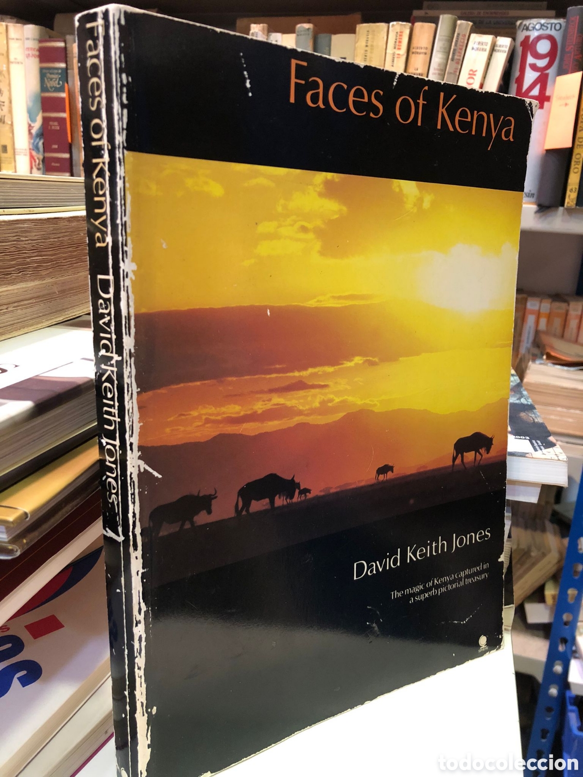 Gebrauchte B&uuml;cher: Faces of Kenya. The magic of Kenya captured in a superb pictorial treasury. - David Keith Jones