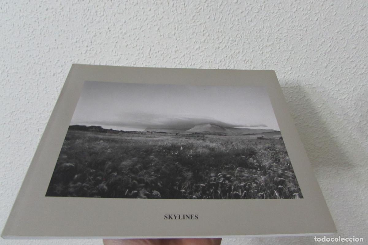 Libros de segunda mano: SKYLINES JOHN DAVIES 1993 DESCATALOGADO