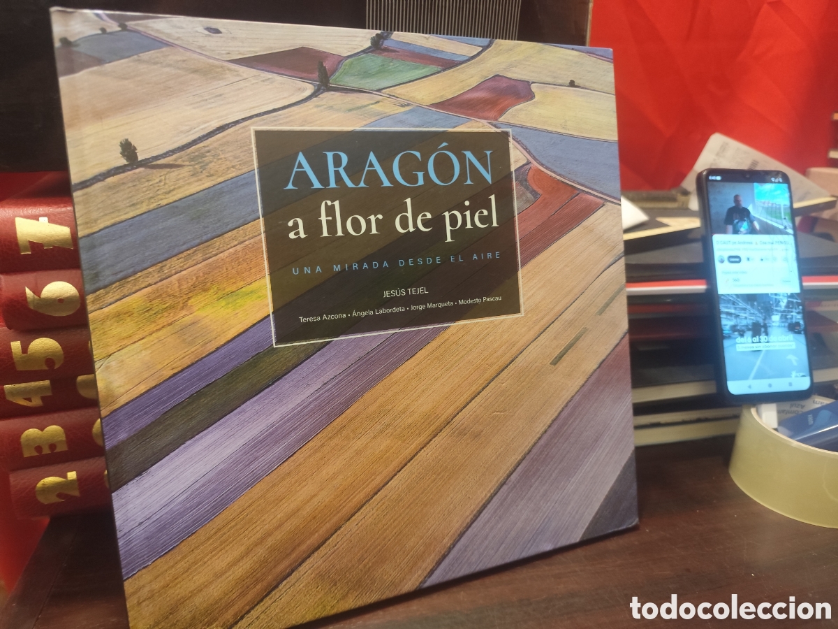 Libros de segunda mano: ARAG&Oacute;N a flor de piel - UNA MIRADA DESDE EL AIRE - DEDICATORIA AUTOR JESUS TEJEL