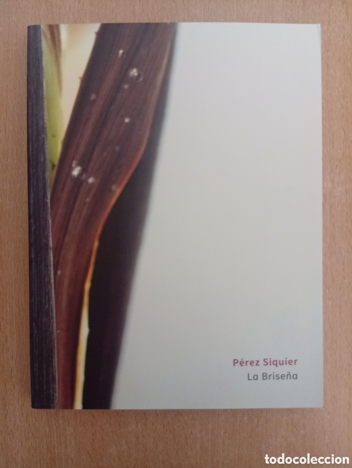 Libros de segunda mano: LA BRISE&Ntilde;A. Carlos P&eacute;rez Siquier