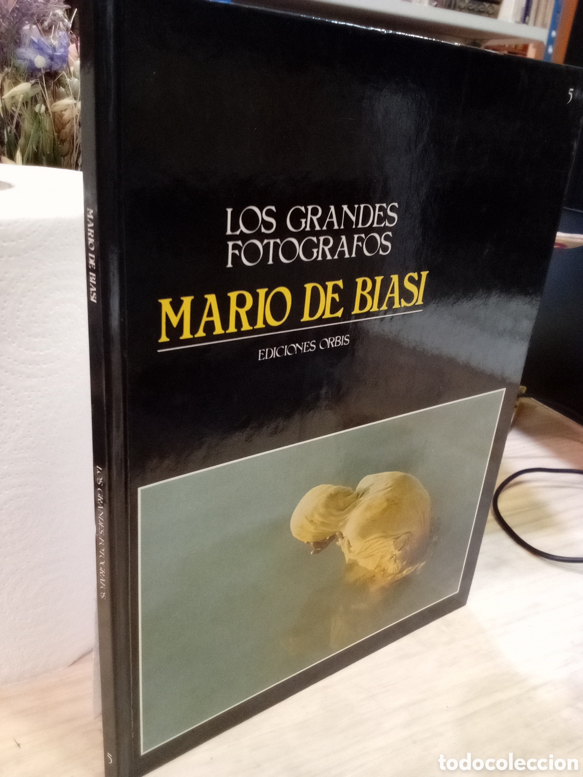 Livros em segunda m&atilde;o: Los grandes fot&oacute;grafos Mario de Biasi