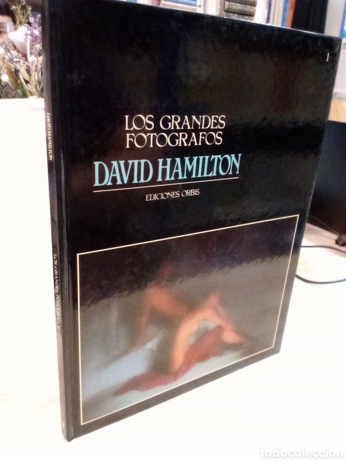 Livros em segunda m&atilde;o: Los grandes fotografos David Hamilton