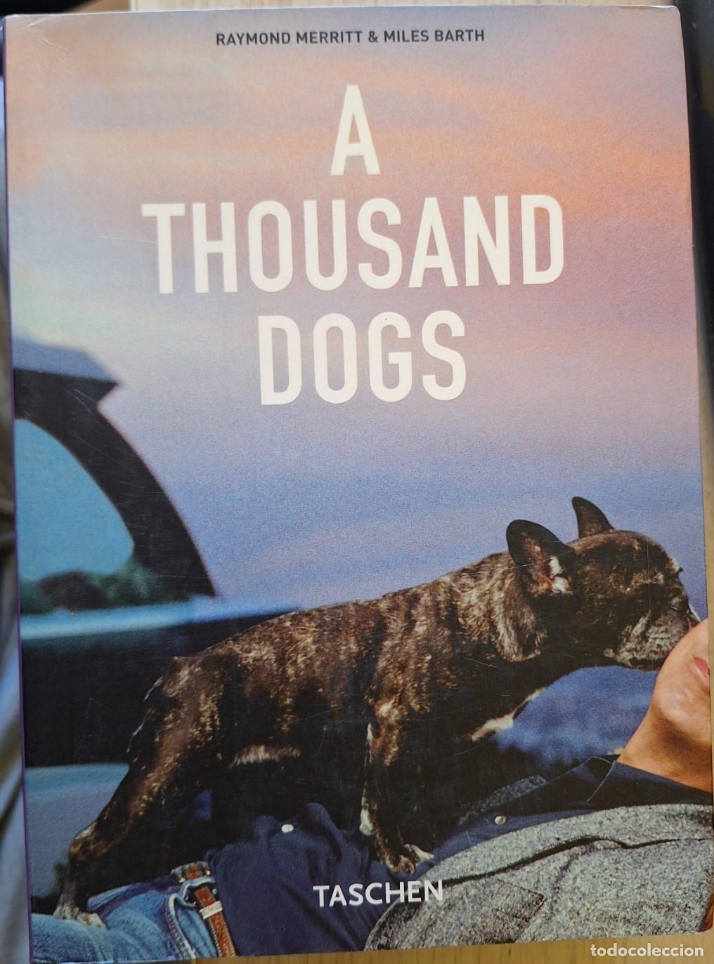 Libros de segunda mano: A THOUSAND DOGS. - MERRITT/BARTH, Raymond/Miles.