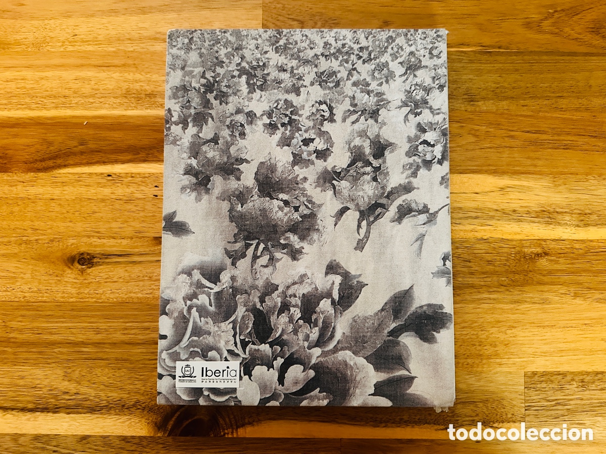 Libros de segunda mano: Wang Yin (timezone8) - Foto 2
