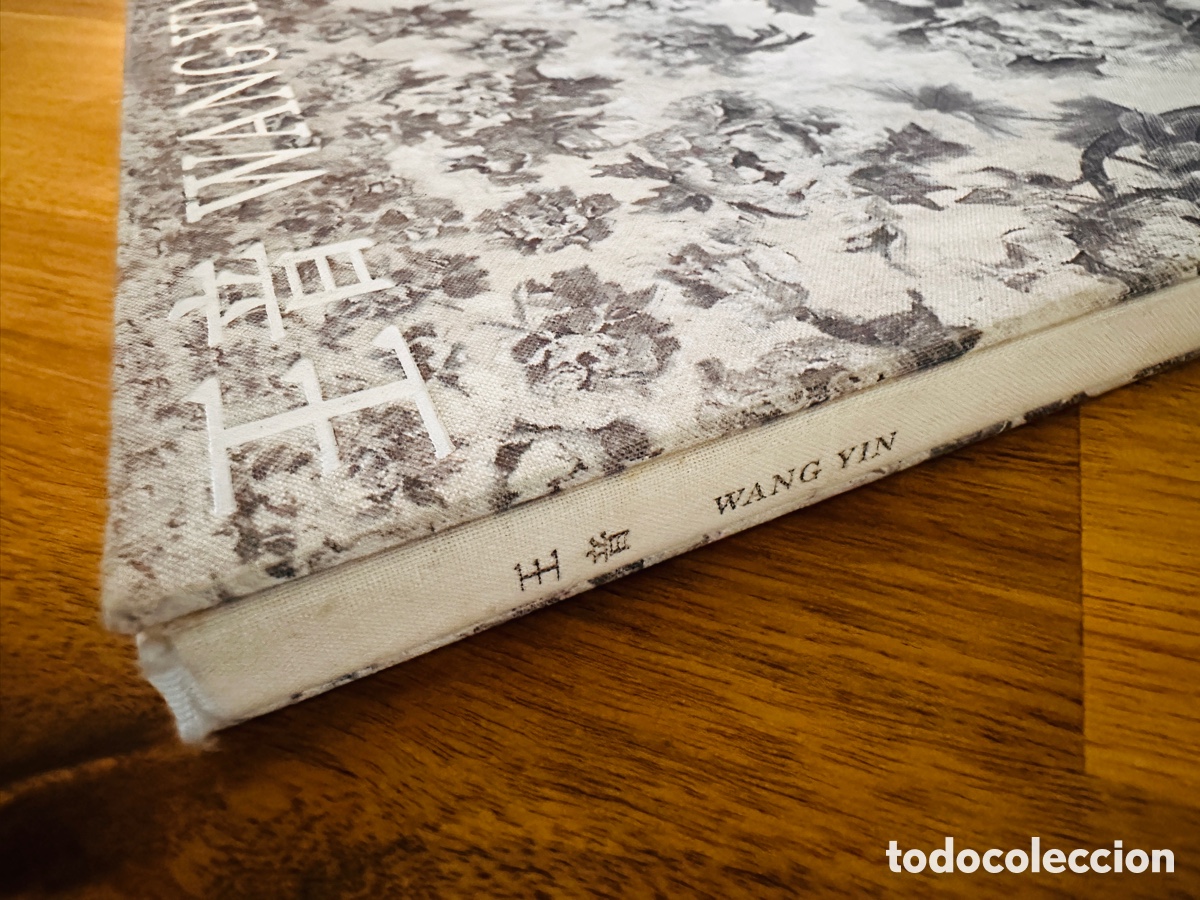 Libros de segunda mano: Wang Yin (timezone8) - Foto 3