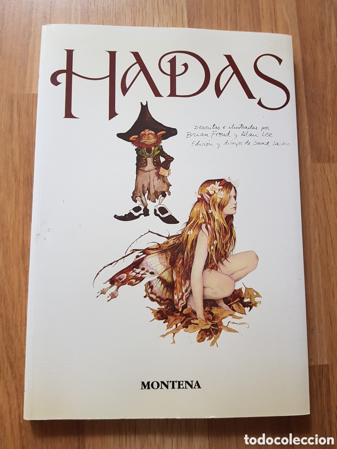 Libros de segunda mano: Hadas. Por Brian Froud y Alan Lee. Ediciones Montena. Dibujos de David Lackin.