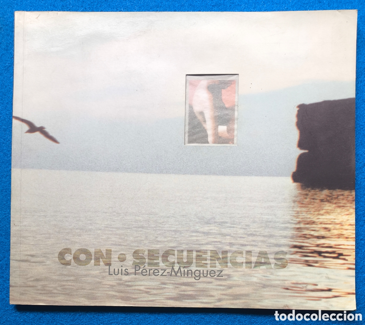 Libros de segunda mano: LUIS P&Eacute;REZ MINGUEZ FOTOGRAF&Iacute;A CON-SECUENCIAS CAT&Aacute;LOGO EXPOSICI&Oacute;N 1997