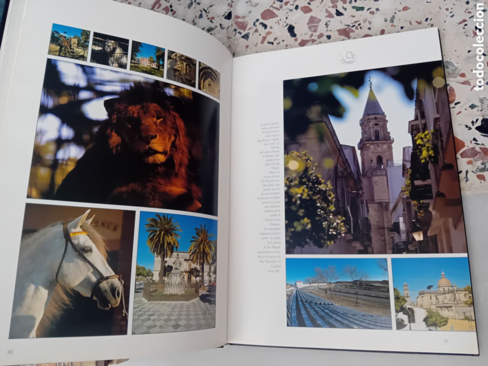Libros de segunda mano: LIBRO CON MAGNIFICAS FOTOGRAFIAS: ANDALUCIA EN CLAVE DE SOL - MUY ILUSTRADO