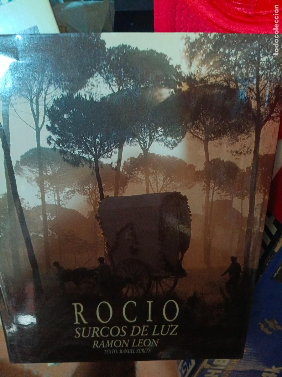 Libros de segunda mano: ROCIO, SURCOS DE LUZ -RAM&Oacute;N LE&Oacute;N -