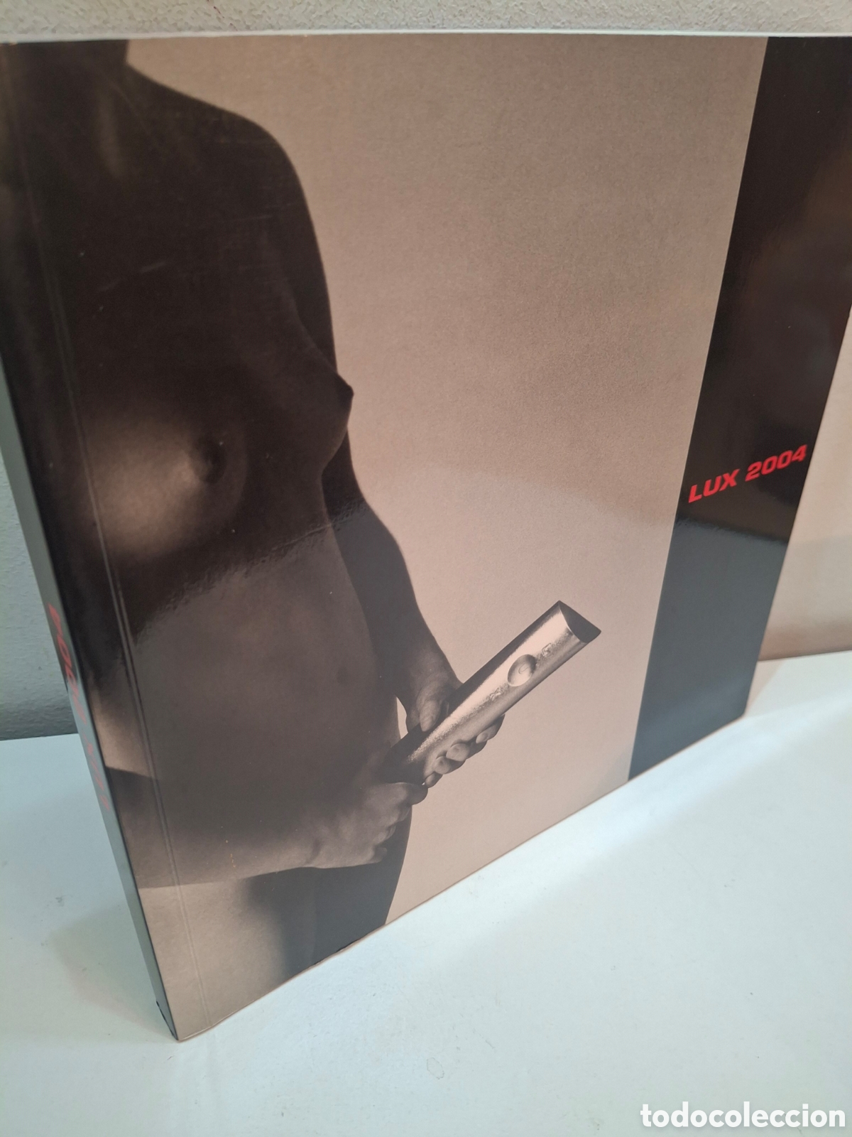 Libros de segunda mano: CATALOGO PREMIOS LUX 2004, PREMIO NACIONAL DE FOTOGRAFIA PROFESIONAL, AFP-PMF, 2004
