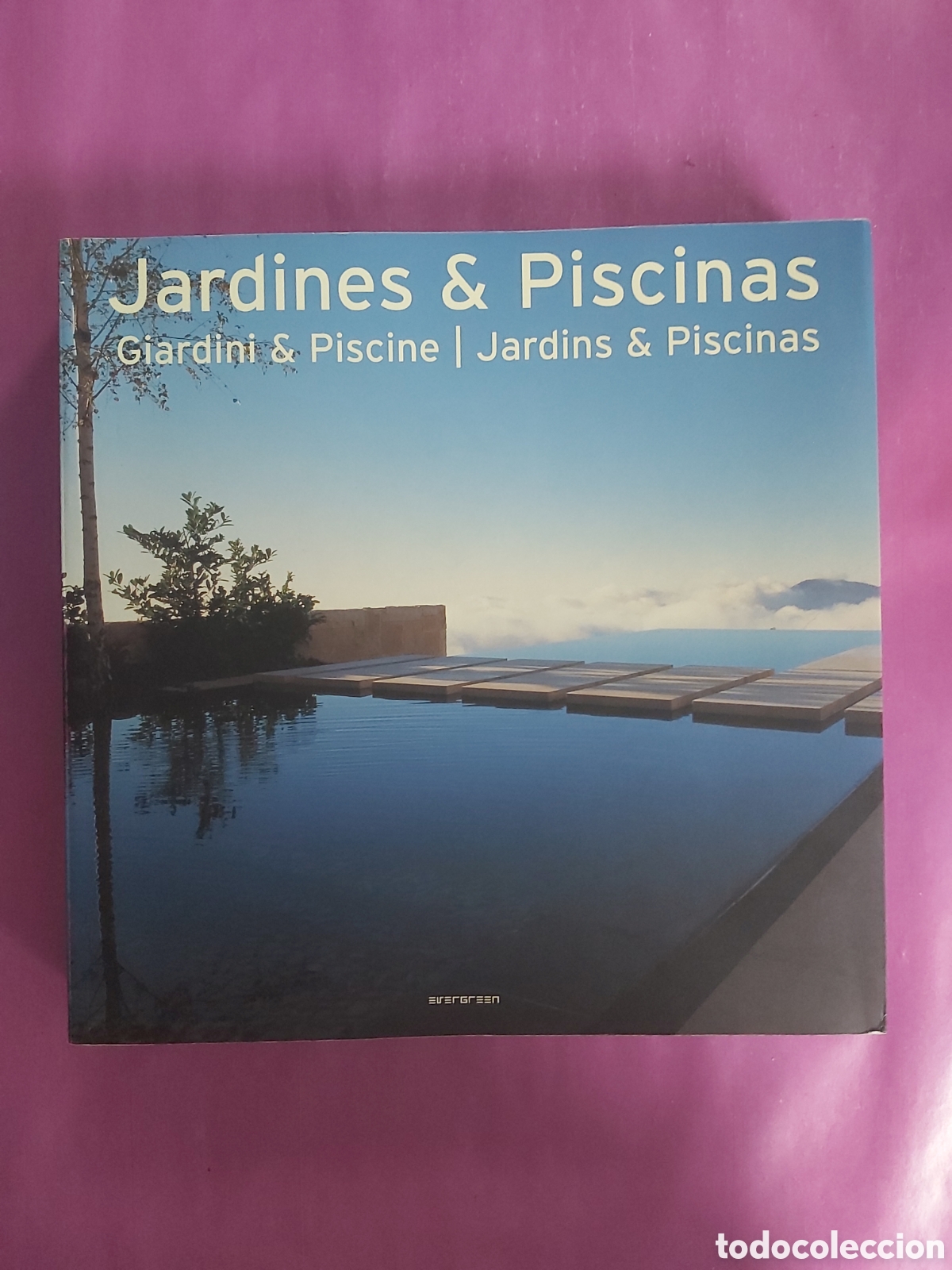 Libros de segunda mano: JARDINES PISCINAS EVERGREEN TASCHEN 2006