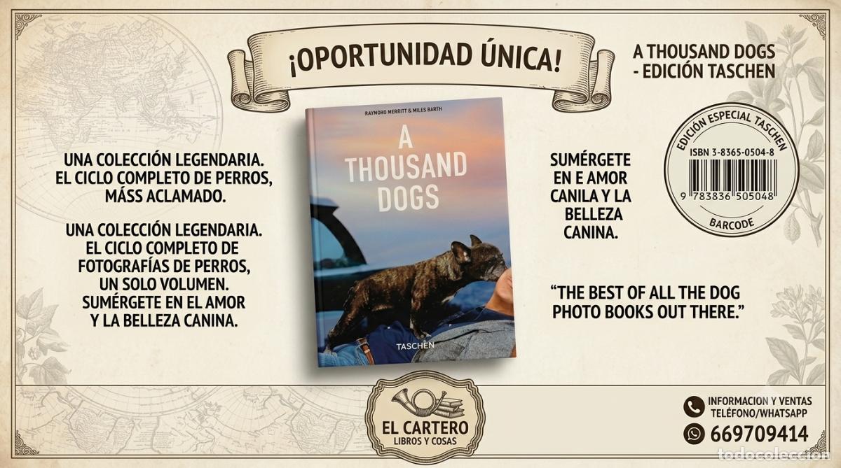 Libros de segunda mano: A THOUSAND DOGS. - MERRITT/BARTH, Raymond/Miles - TASCHEN - PERROS