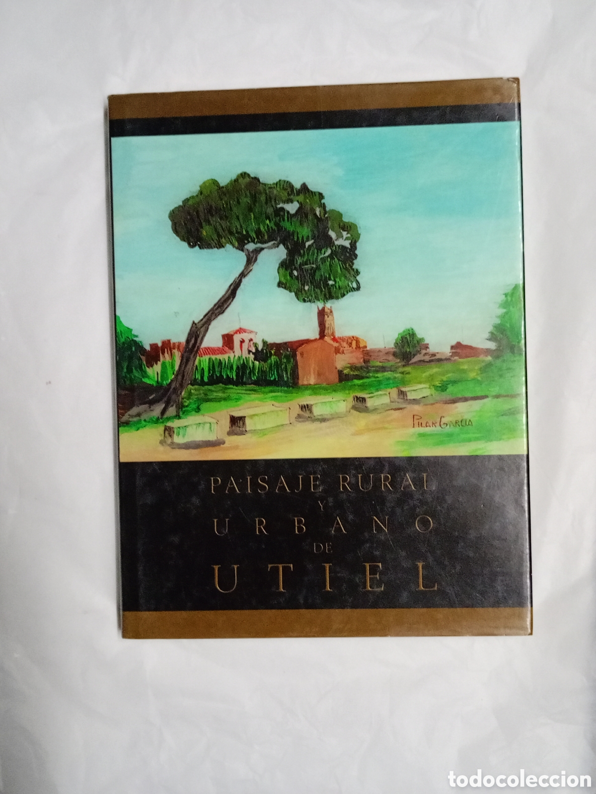 Libros de segunda mano: Paisaje Rural y Urbano de Utiel&rdquo;