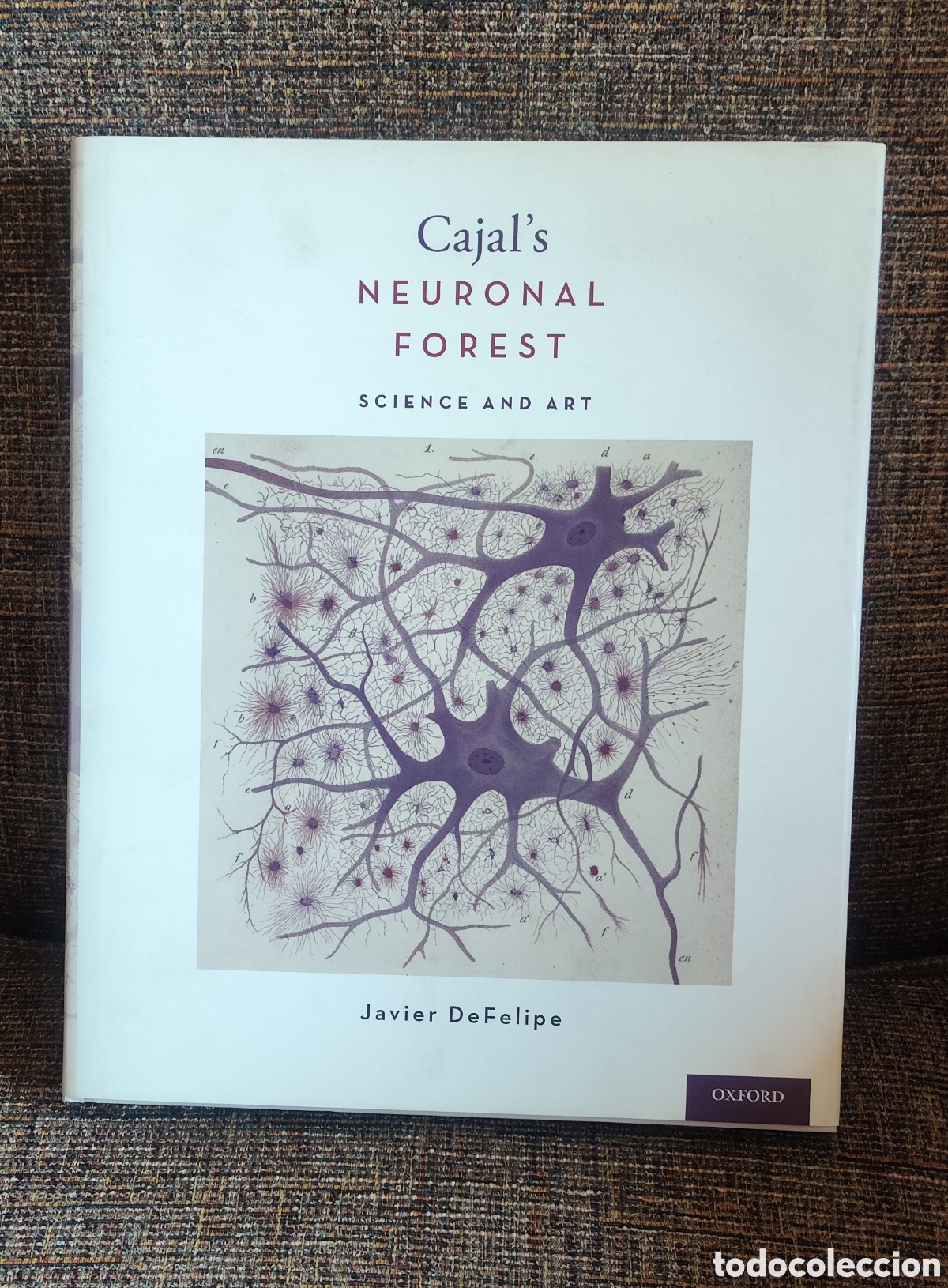 Libros de segunda mano: Cajal's Neuronal Forest . Javier DeFelipe