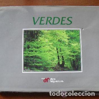 Libros de segunda mano: Libro Verdes Joaquin Fanjul 1997 Fotografias Asturias Duro Felguera Ilustrado PEIFER