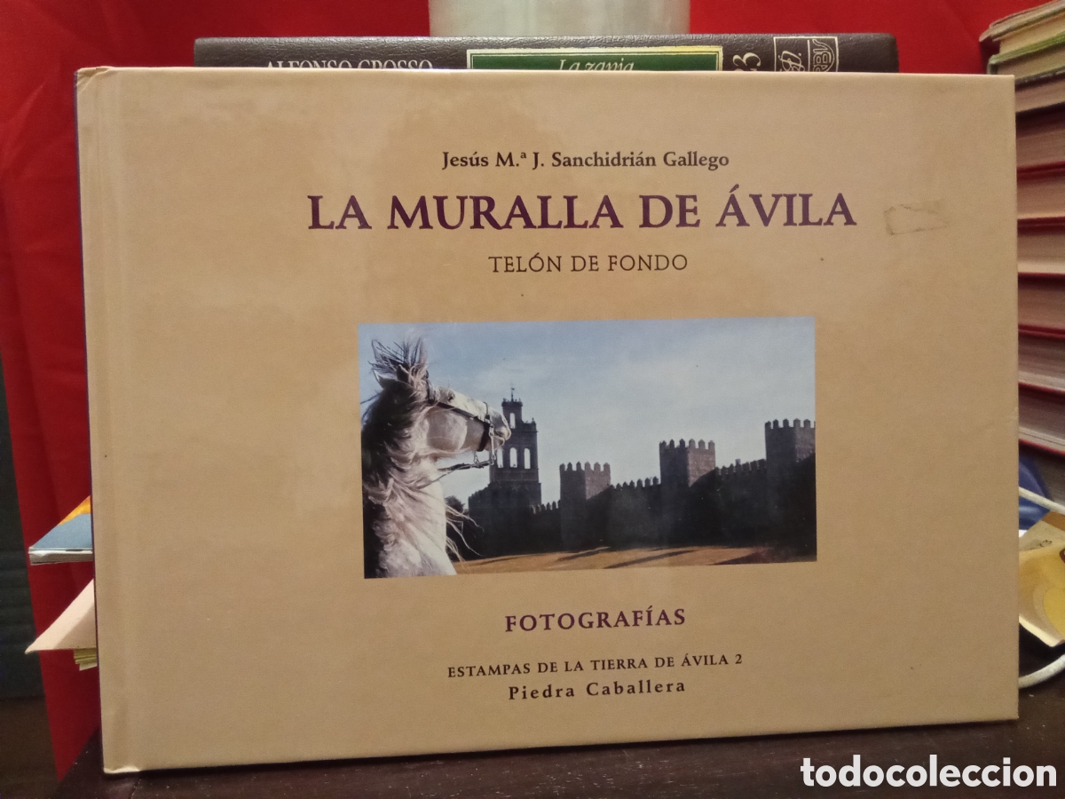 Libri di seconda mano: Jes&uacute;s m&ordf;. J. Sanchidri&aacute;n Gallego - LA MURALLA DE AVILA - Tel&oacute;n de fondo - Fotograf&iacute;as
