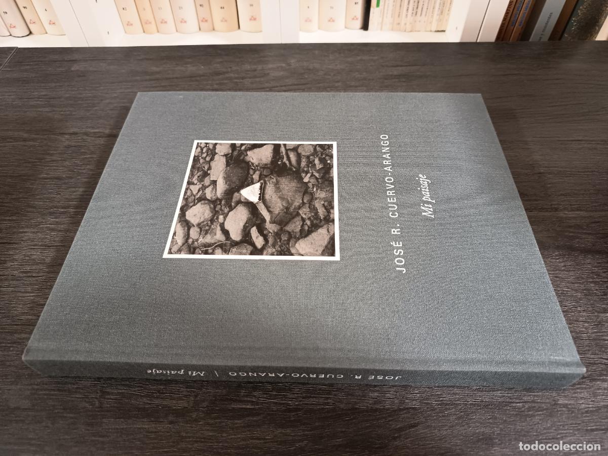 Libros de segunda mano: 2019 - JOS&Eacute; R. CUERVO-ARANGO. Mi paisaje