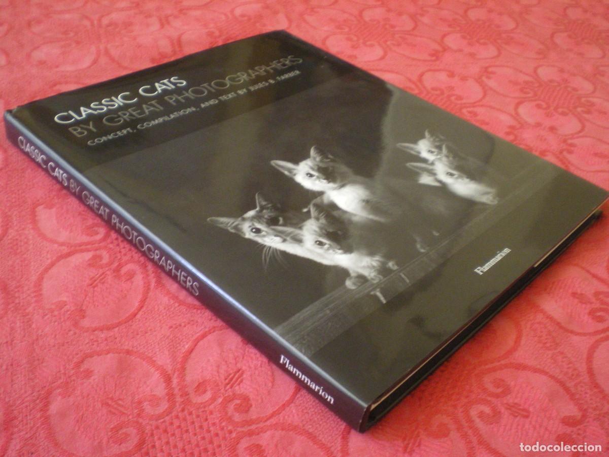 Libros de segunda mano: CLASSIC CATS BY GREAT PHOTOGRAPHERS. FLAMMARION.