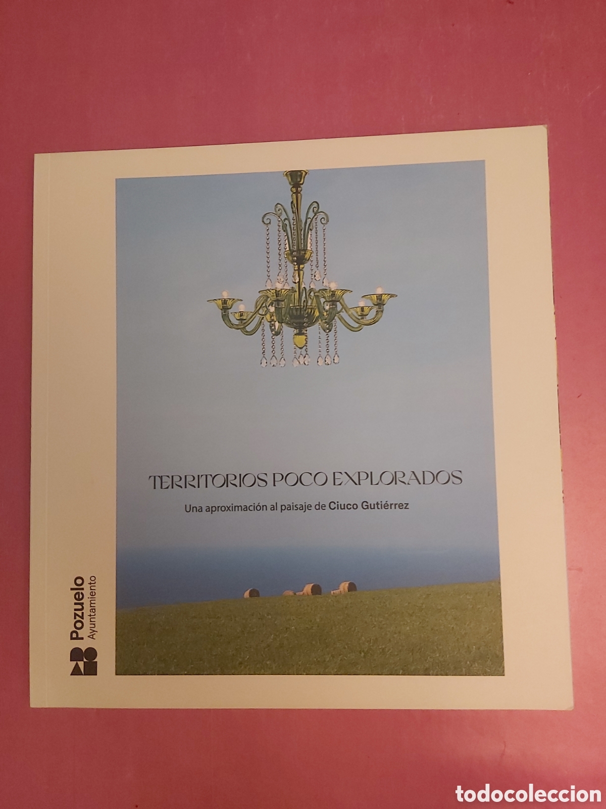 Libros de segunda mano: TERRITORIOS POCO EXPLORADOS CIUCO GUTI&Eacute;RREZ AYUNTAMIENTO POZUELO