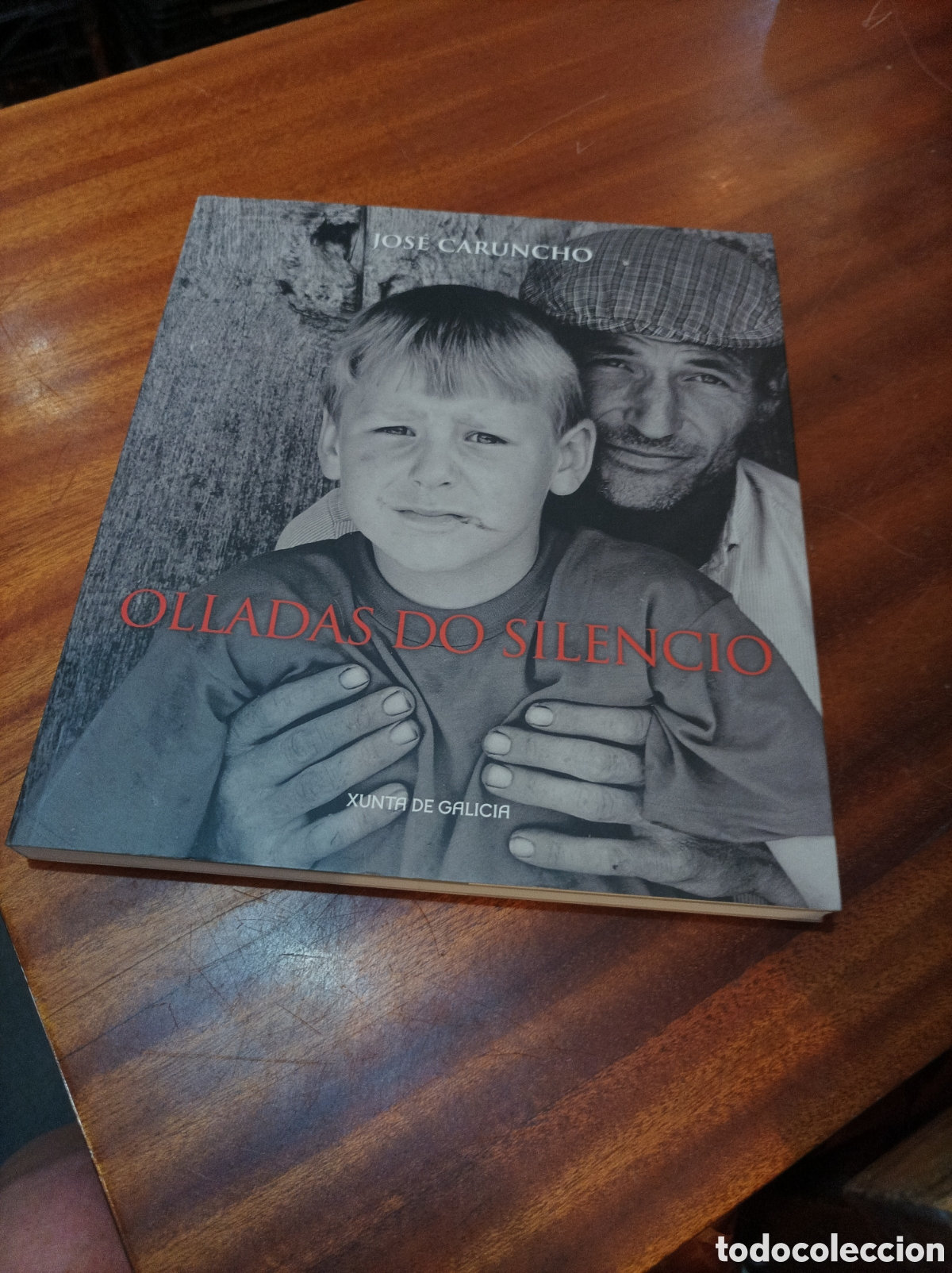Libros de segunda mano: OLLADAS DO SILENCIO.JOSECARUNCHO.2009.XUNTA DE GALICIA.