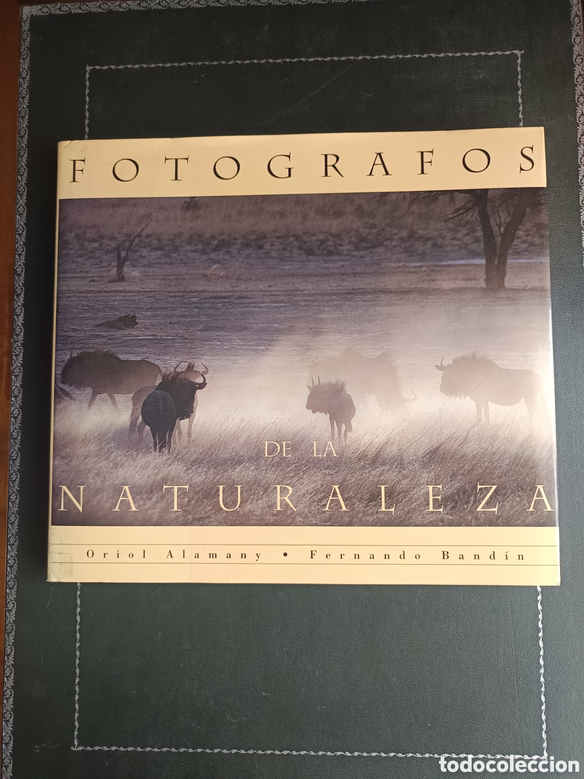 Libri di seconda mano: FOTOGRAFOS DE LA NATURALEZA. ORIOL ALEMANY - FERNANDO BAND&Iacute;N