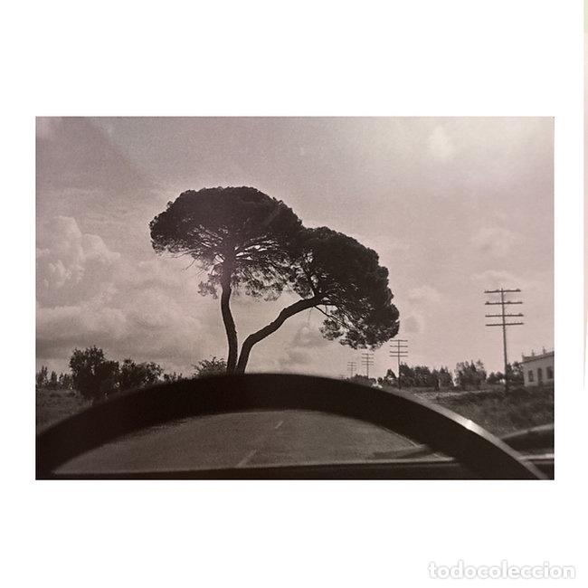 Libros de segunda mano: Retrospective - Joel Meyerowitz - Foto 3